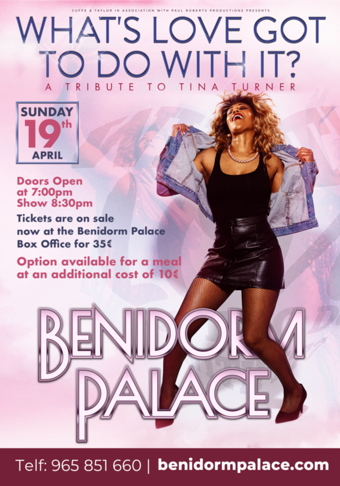 Tina Turner Tribute tina turner tribute